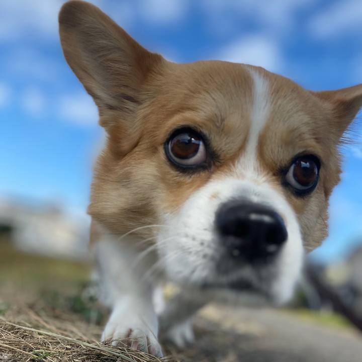 42f6e3ad 9886 4877 a437 5eb71278b6cf 1668834150351