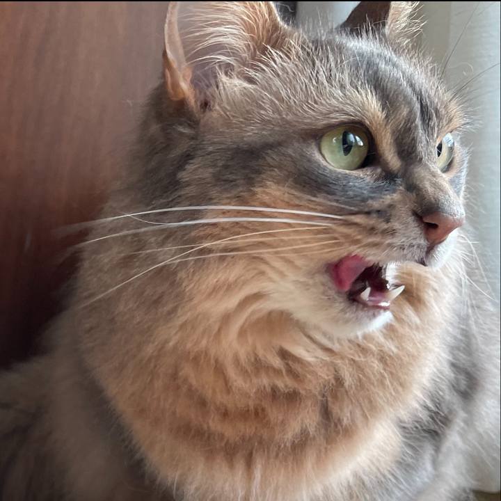 42f6fc73 b0af 48a7 9da1 c8391f7724b8 1619517626107