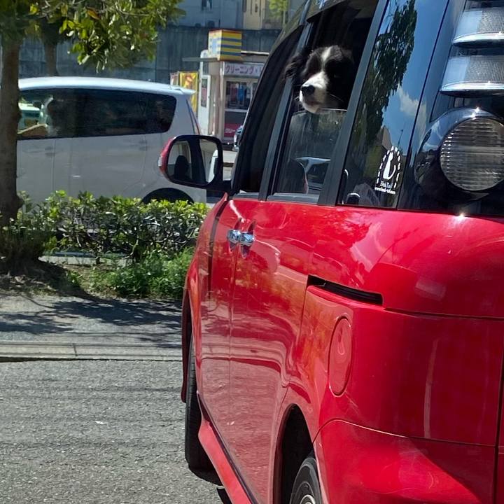 42f706c0 3d0f 4c97 8f76 242a05a7cbe9 1600050468912