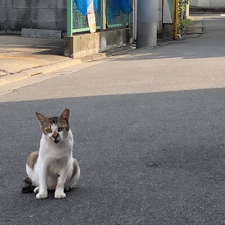 42f751de 6137 410b bfb2 7705dc6bab7b 1535774115246