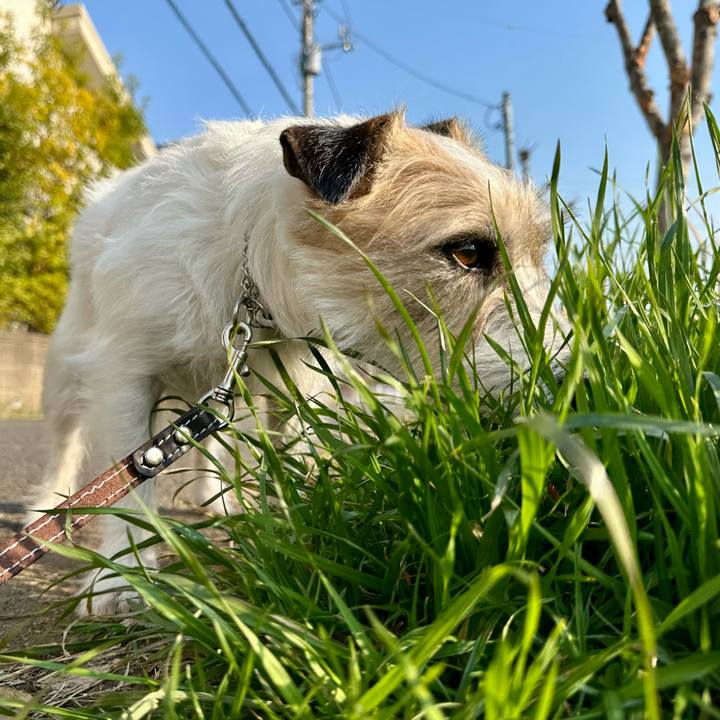 42f75c13 4768 4a04 8379 8650cefcb177 1742707653160