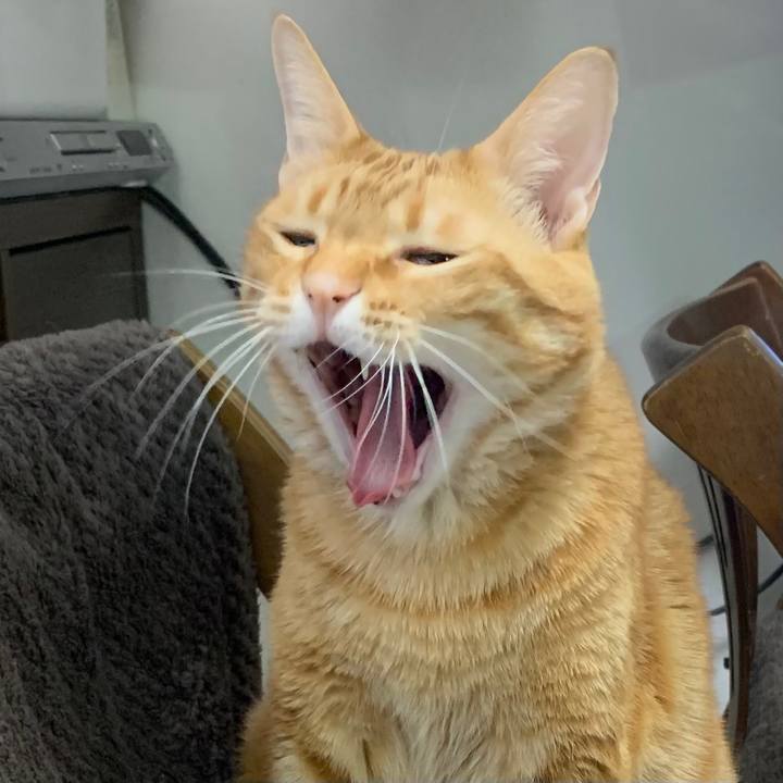 42f77ad5 7cf5 403e 9482 c3e769bdff5d 1645141771453