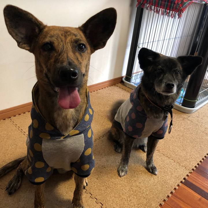 42f79364 064f 46dc be4d 3e4713376930 1593348734691