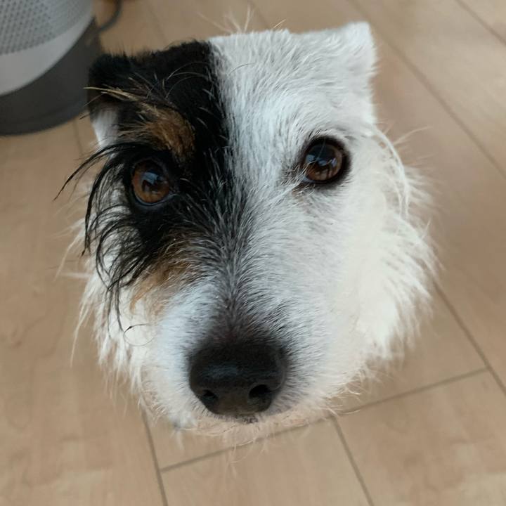 42f7be9b da5e 4d97 aab8 6d061304810e 1585443211852