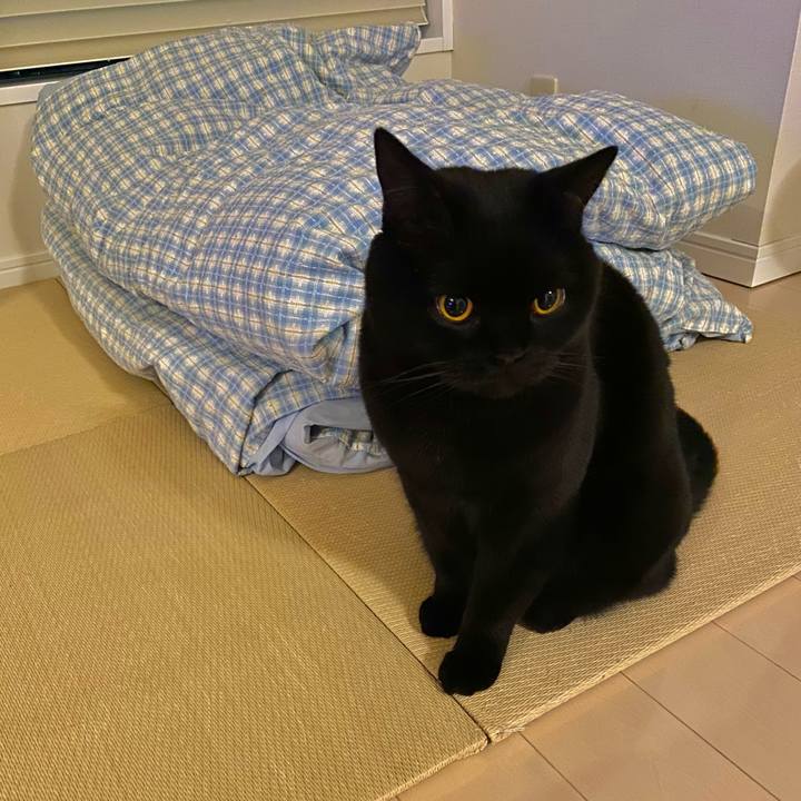 42f7da6d 26a8 4559 96f3 ababf059f241 1606990753706