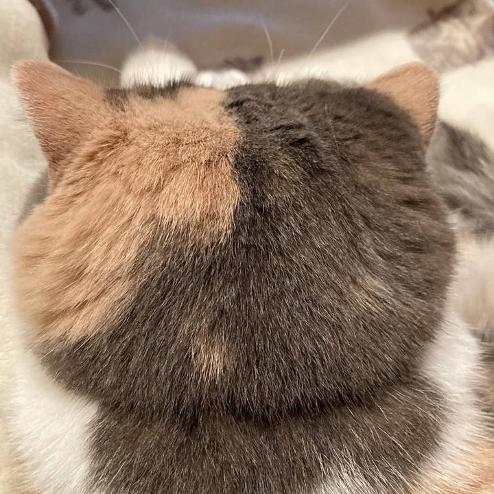 42f7e951 19cb 4c13 9917 adf8a0524150 1604482803373