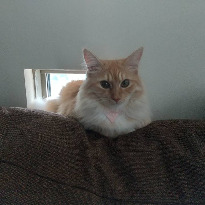 42f7ee24 e55e 4546 b674 deb19082d4cc 1625974582657