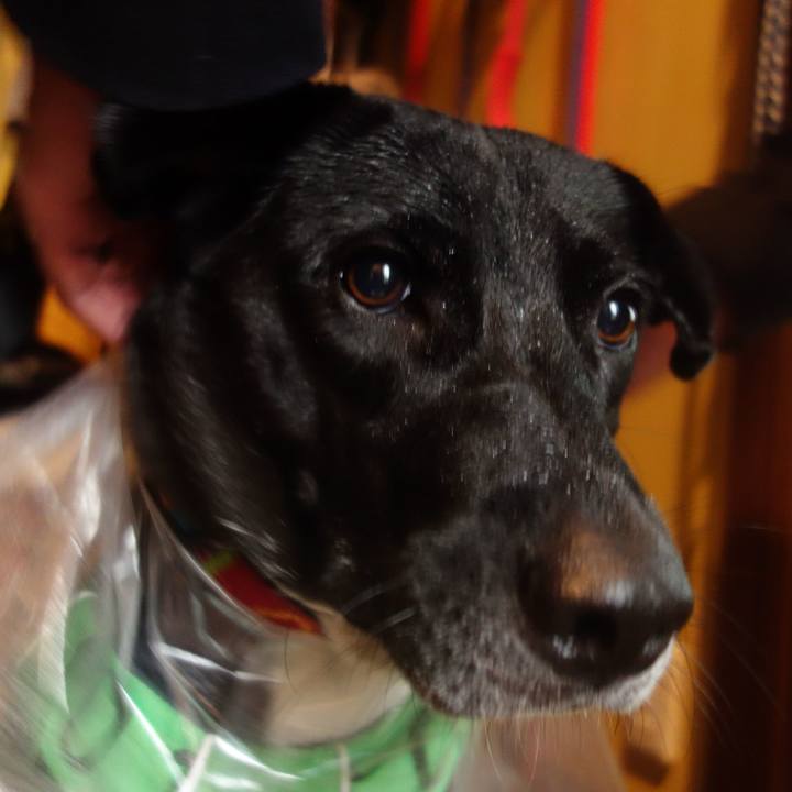 42f82115 4a17 4063 9385 bb8375c3fb88 1602114013387