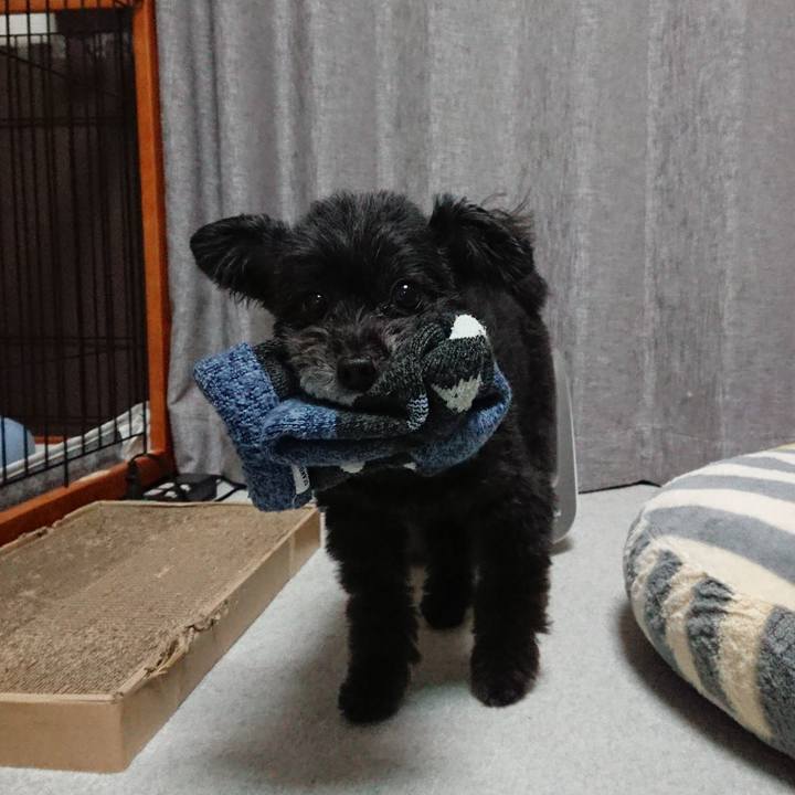 42f82a9c 0f23 4b8c bc58 e1128423236f 1579436045790