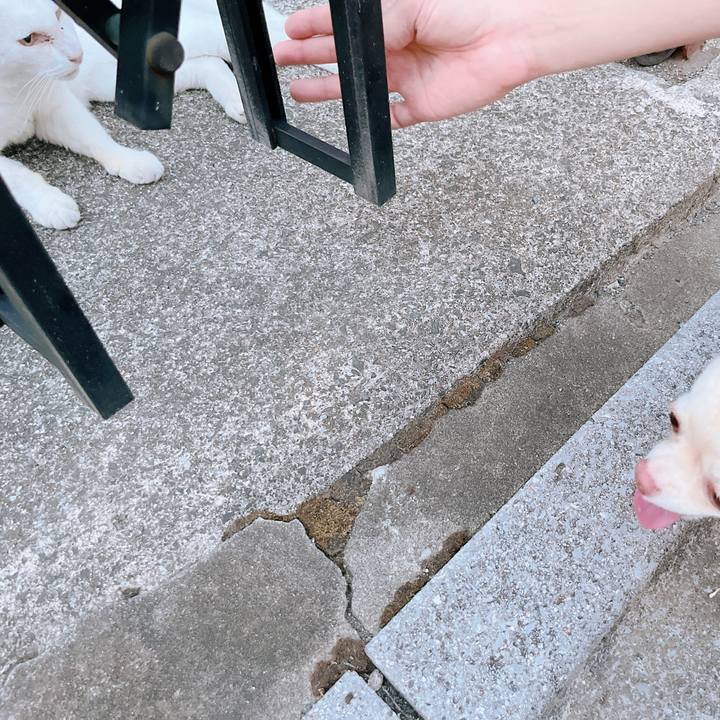 42f8482d 4f5a 4179 877a 3962a982d50a 1661674593069