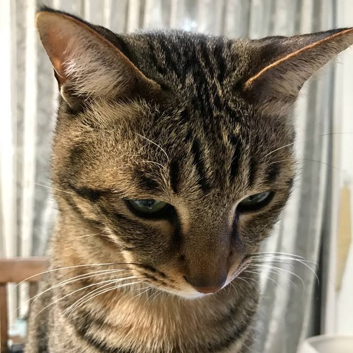 42f87e24 144a 44a5 af42 cf6957fc61a0 1519490976890