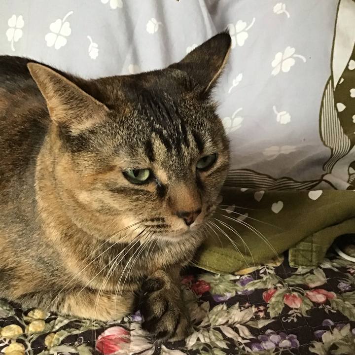 42f89467 6b6e 4472 b3f6 8f2e0e8eecbf 1679371169941