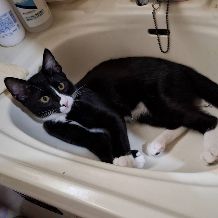 42f8a22c 7bfa 445f 99ae d24585287032 1755856696412