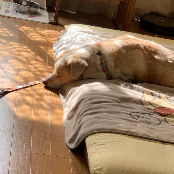 42f8a4a9 ca10 41f2 a381 76dacb19bc6c 1550374949526