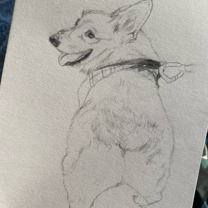 42f8b542 8ef9 4a95 ab51 a320853cd9f1 1636956042172