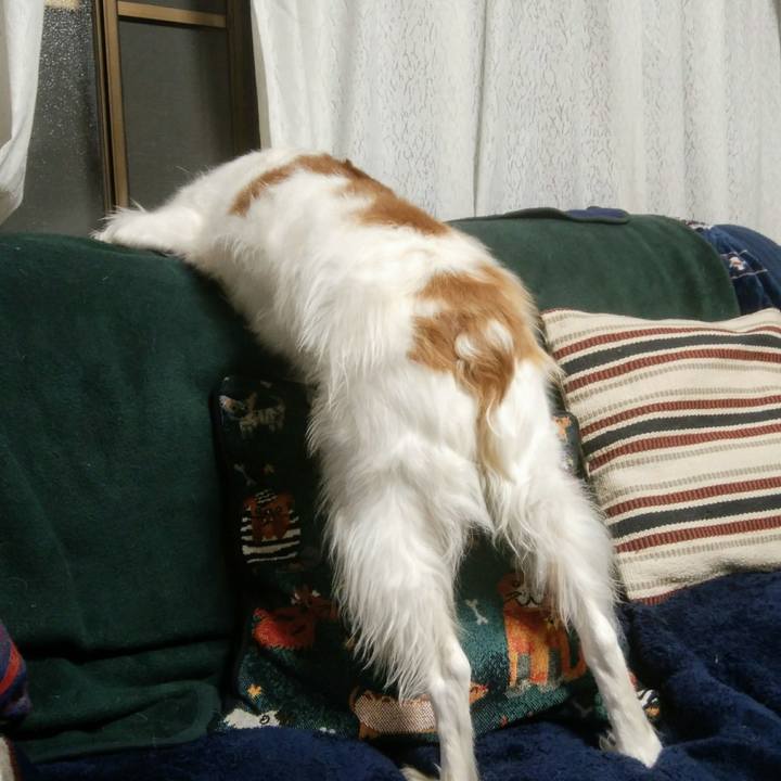 42f8befb dc37 4801 9147 9f818eab9349 1548589427337