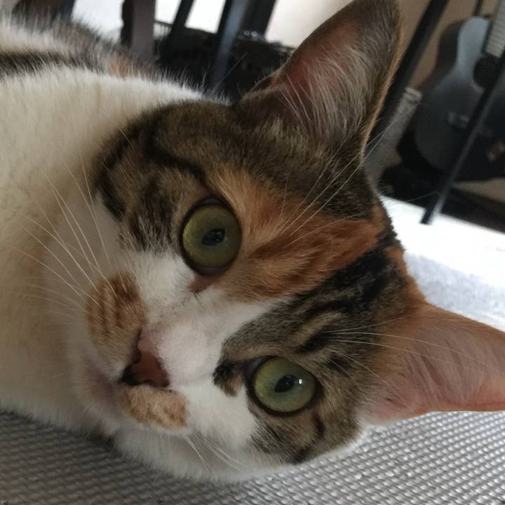 42f8d576 422e 4648 b1e5 b78318816694 1718004381394