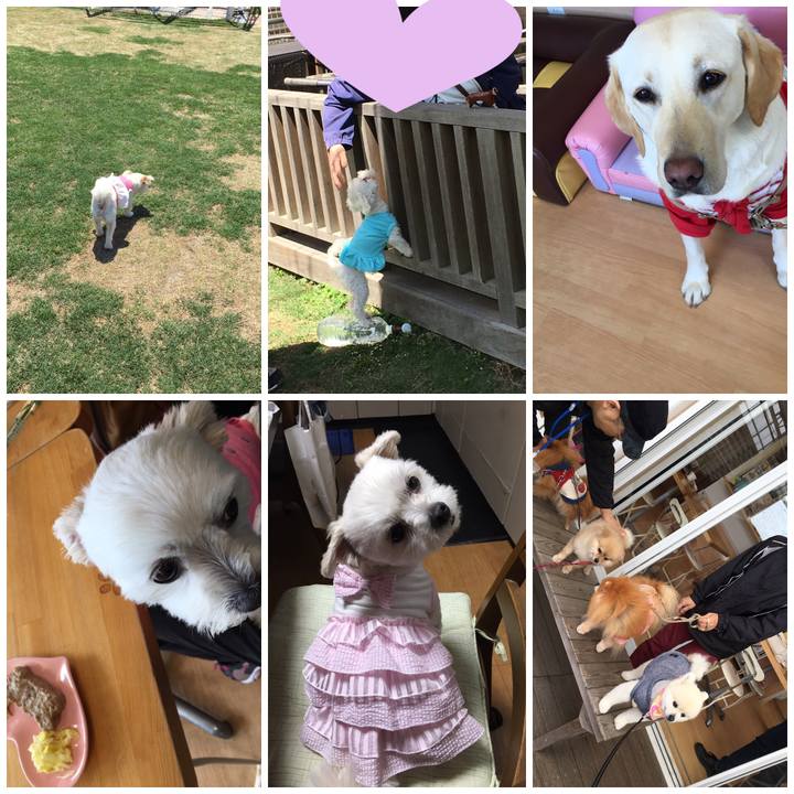 42f91130 a660 4e08 8fc3 f2f0caf20d90 1556371587167