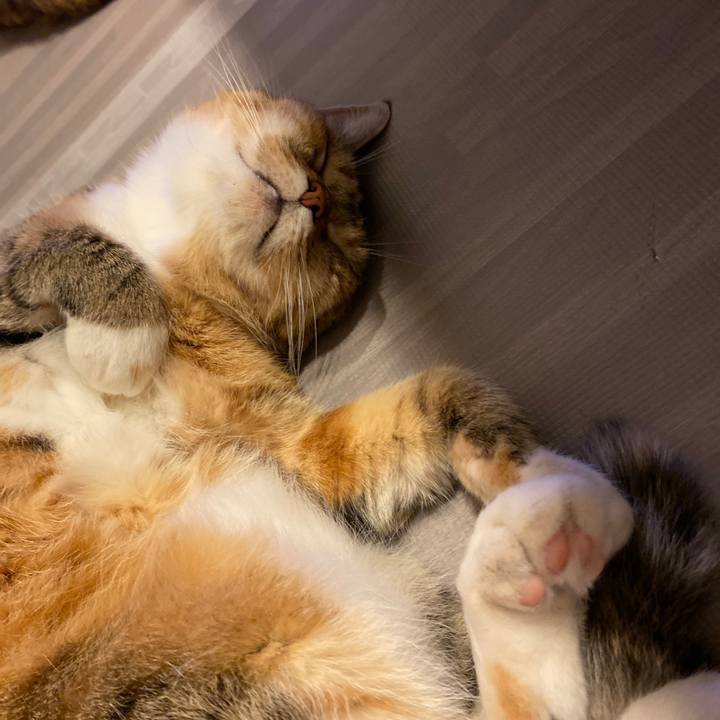 42f951ab 9c7a 458e ae0a cf69b2b981fd 1625749688364