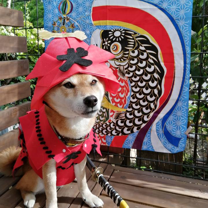 42f96438 7e16 462e 8334 2062dd9f7d81 1620005617622