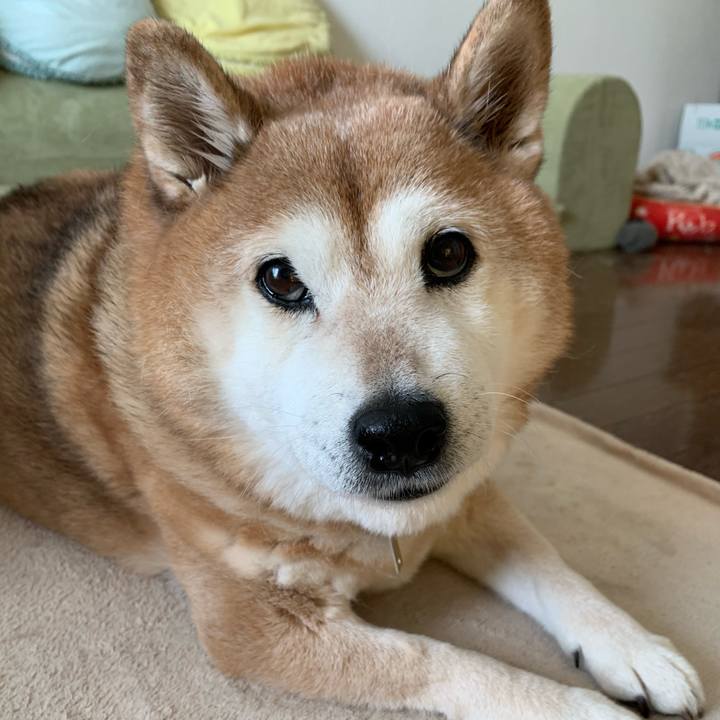 42f98caa 8f39 423e a992 e96de8f9c252 1578719305248