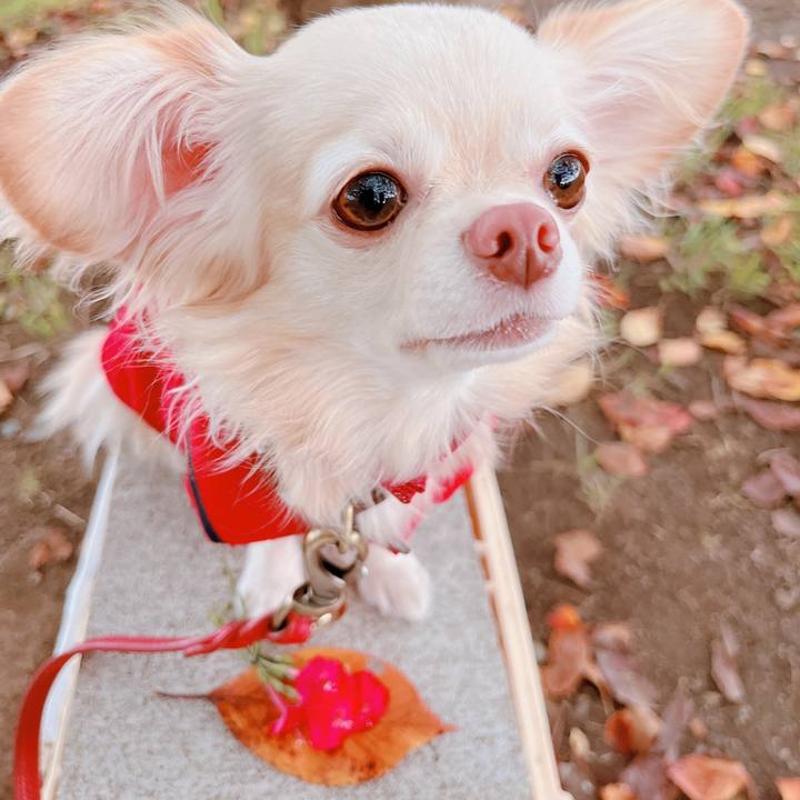 42f9a030 8076 49a4 bc50 7cffec410ccd 1665571679191