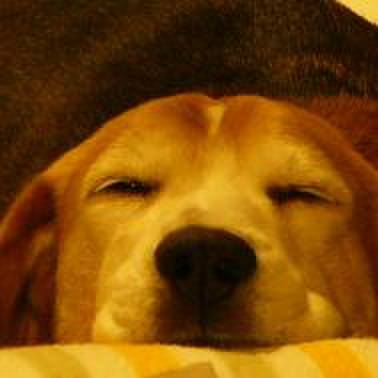 42f9e0b9 0351 46bb 8792 ed4d0379a249 1640827686879