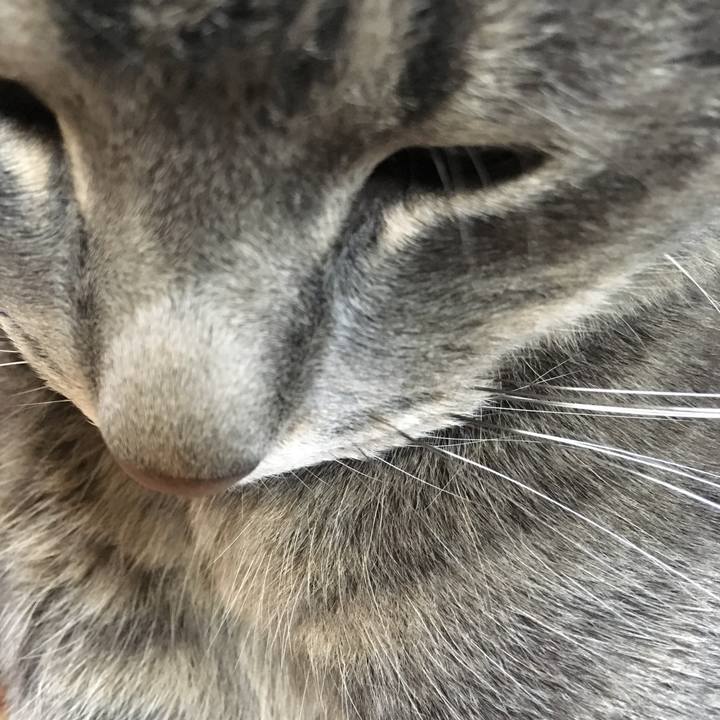 42f9e104 3c0c 4e63 b6a3 57db7265c0cd 1559350367189