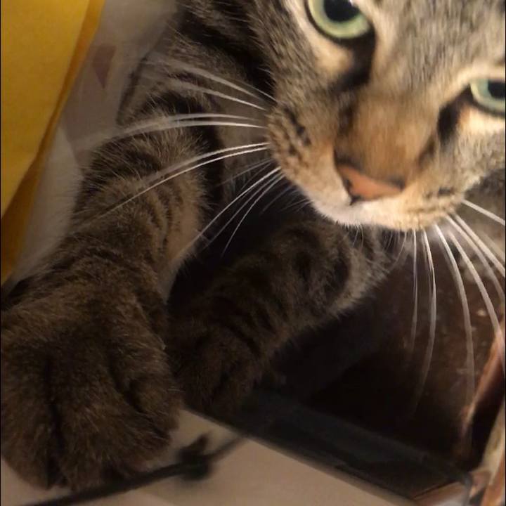 42f9e6d0 41f6 4435 8e60 c29a91b1df57 1577018848809