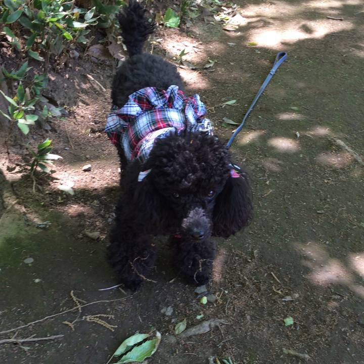 42fa12c7 0841 44ba 8210 eb0908856c12 1557303512688