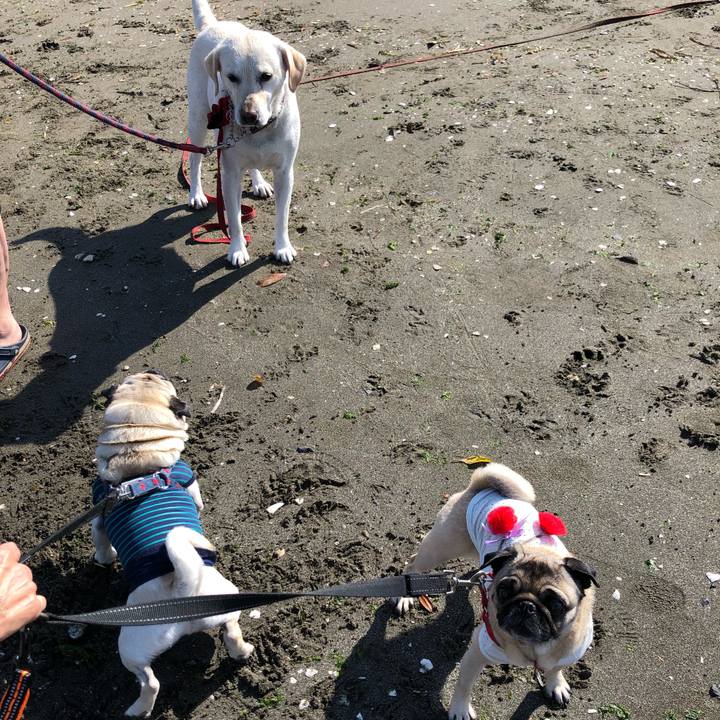 42fa1de3 fa50 46cc a04e fc79ebf07e17 1653788489097