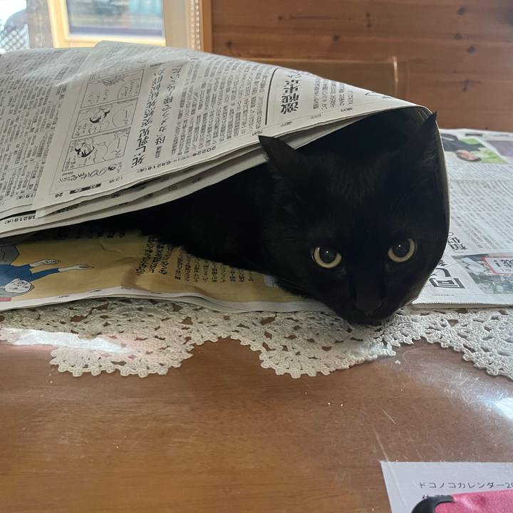 42fa5899 a126 47f5 a7f7 74778692c996 1655760224467