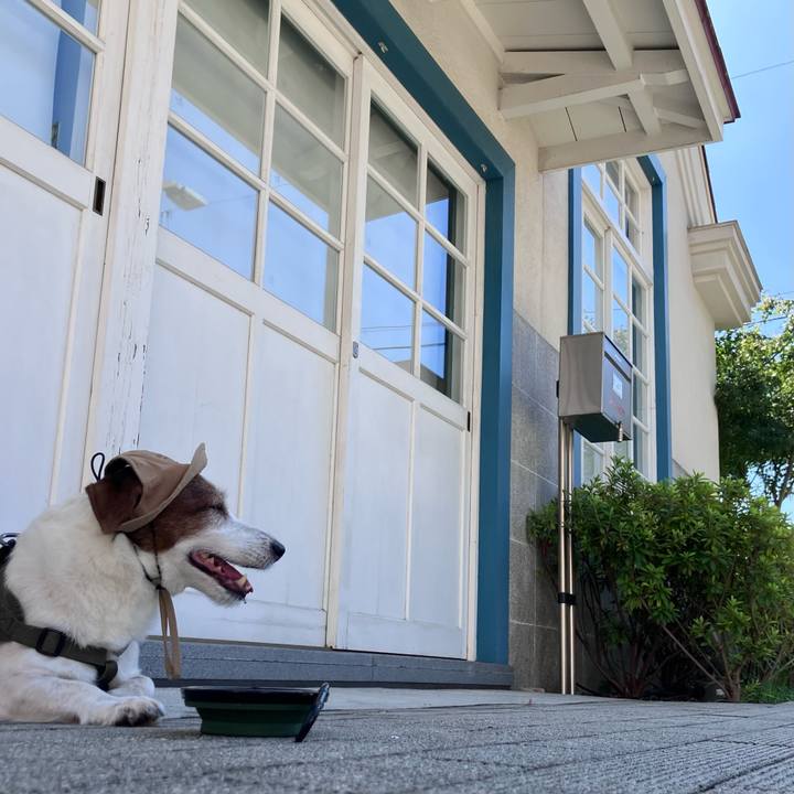 42fa60d4 6a4e 4e25 977a 2d105d6c489b 1758444009745