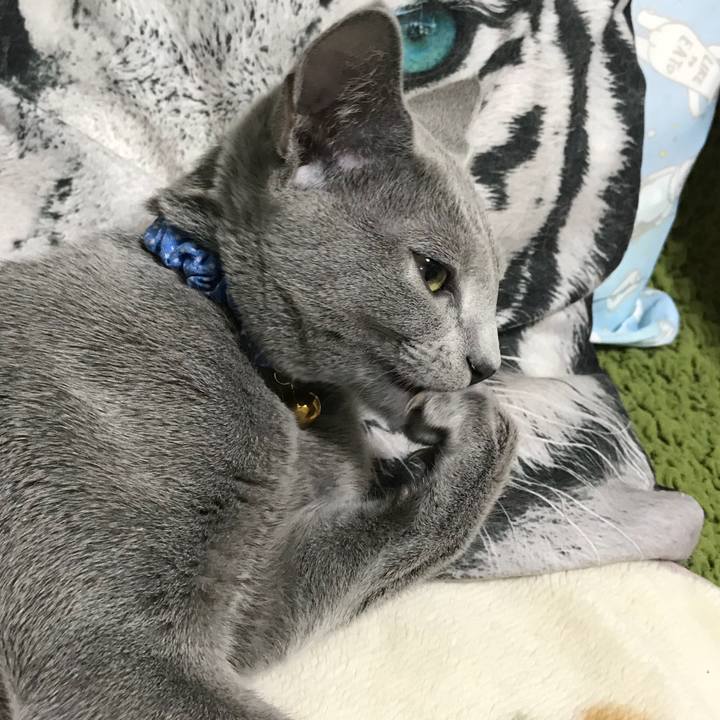 42fabb28 8fdb 4124 a53f 8b7cbd17dc75 1509116343509