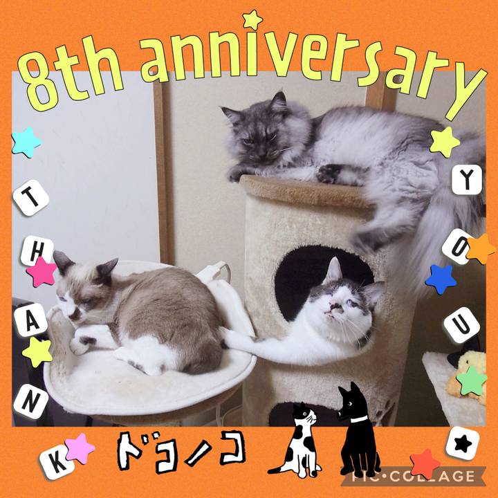 42face57 f7a4 48b3 8a93 4d9d239d5fbd 1718580116629