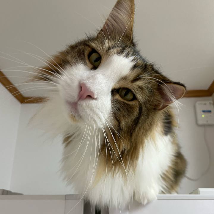 42fb0ed8 e50d 464d 9ae2 82bcfa947277 1670787945869