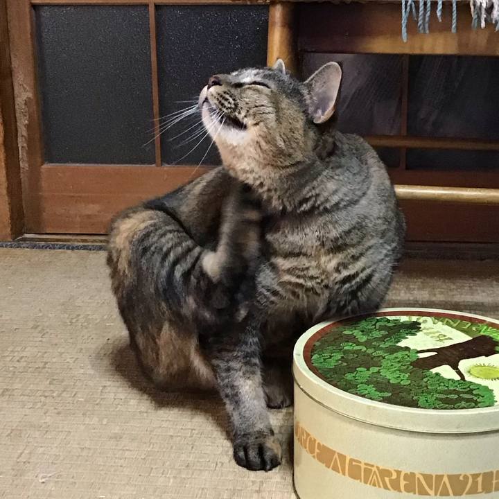 42fb1301 6ed4 4527 af0e 2110d48a5c7a 1761728265005