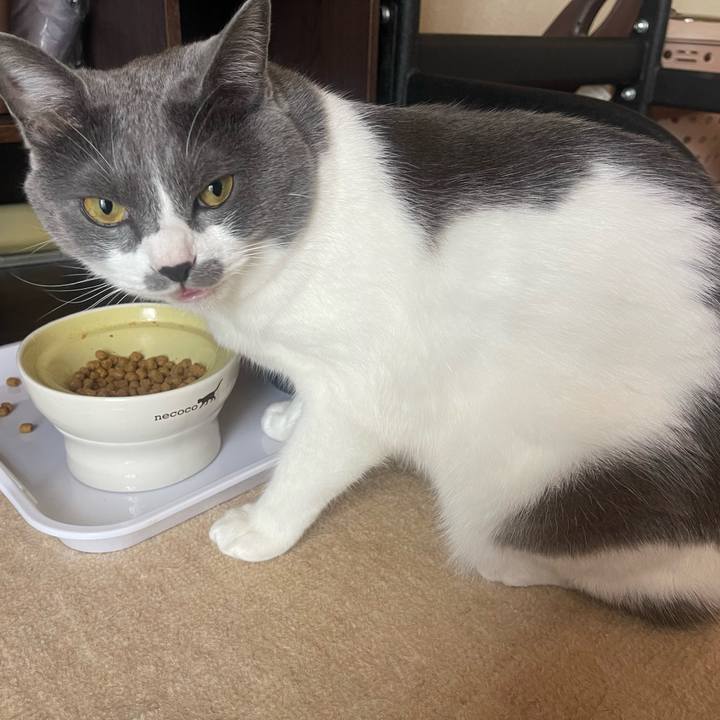 42fb3264 4bc3 41ae a7df baf601326fbd 1654730575416