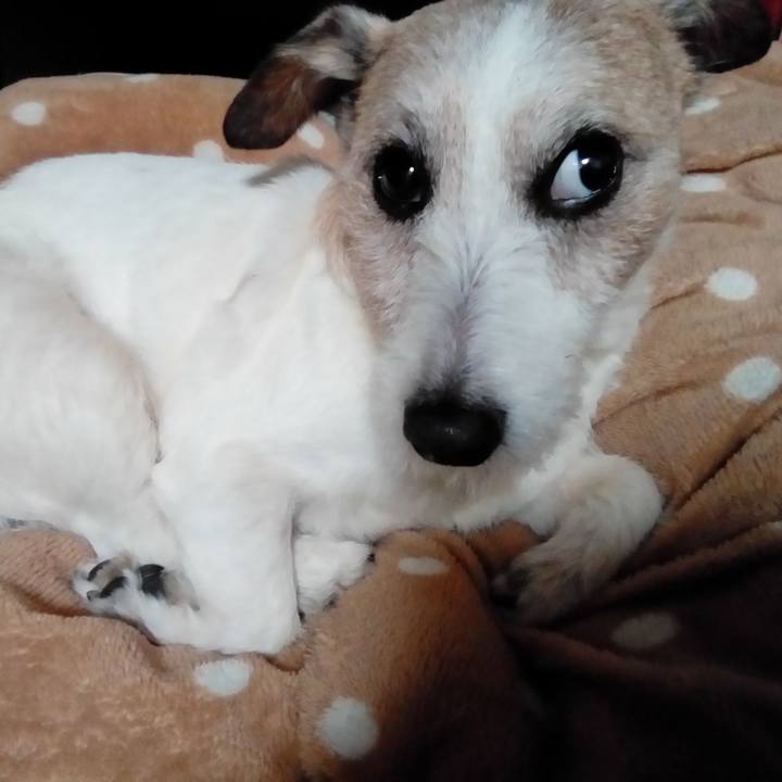 42fb8f62 cfe4 4e31 bd74 fc0f11c7d972 1583668117653