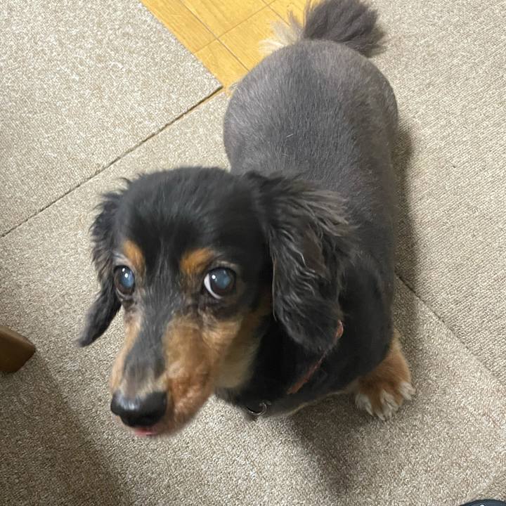 42fbb693 b13e 4f59 96c3 4e632f611f67 1633038678925