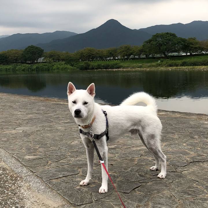 42fbcb31 5752 4634 b97a 131cba8a12ab 1537747622856