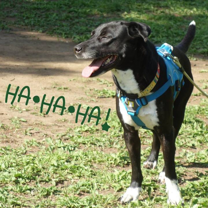 42fbcc2a 4511 4713 9c1d 90718ee449d4 1619570375389