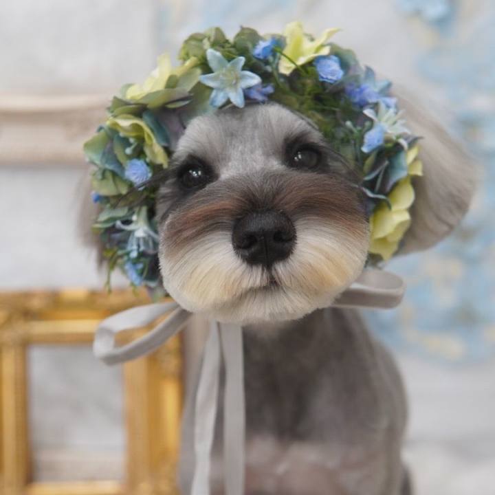 42fc3cd8 1c41 4107 b8e9 3bc37a1490fb 1719667946431