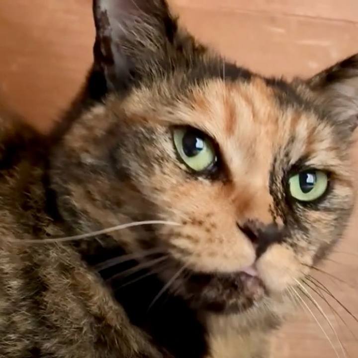 42fc5bbd 15c6 45dd b900 99d58cc28167 1751595786726