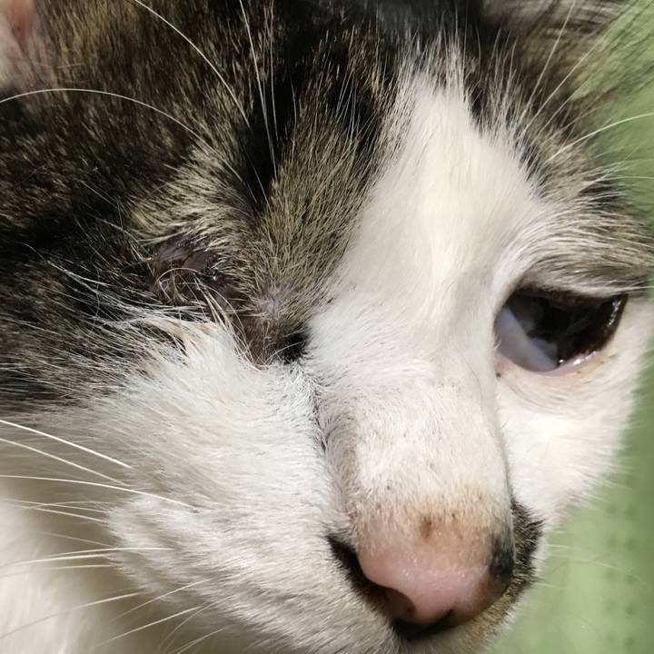 42fc67c7 73ae 4a4a 9e88 de6cff639a3e 1554422620788