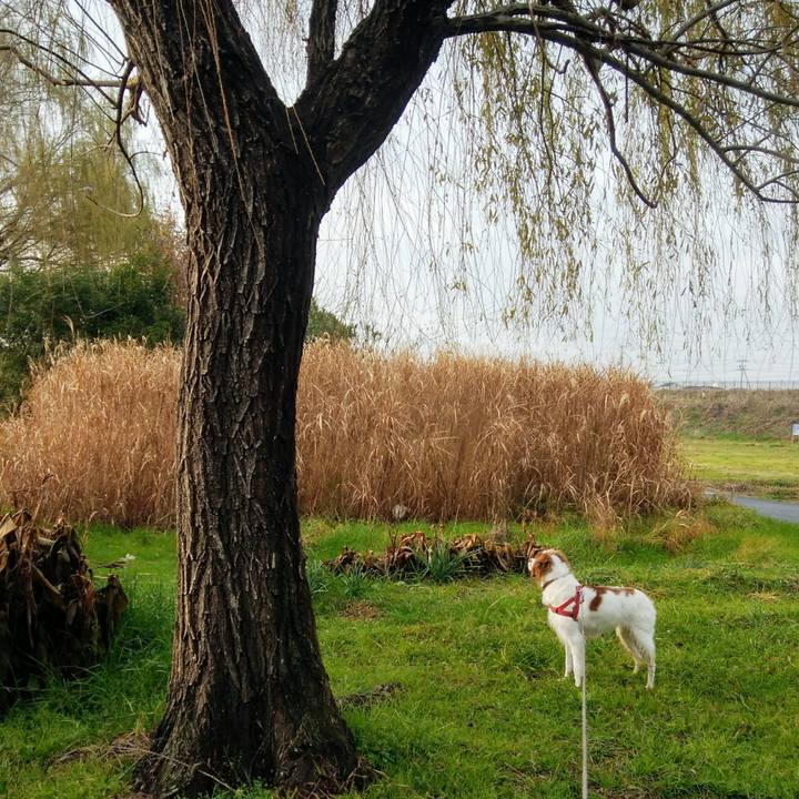 42fce4d4 547e 4ce2 be30 6692d4cd1985 1545463236222