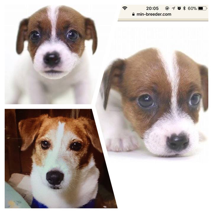 42fd1b88 406c 43c1 a98e a68c9d1becb5 1508499918876