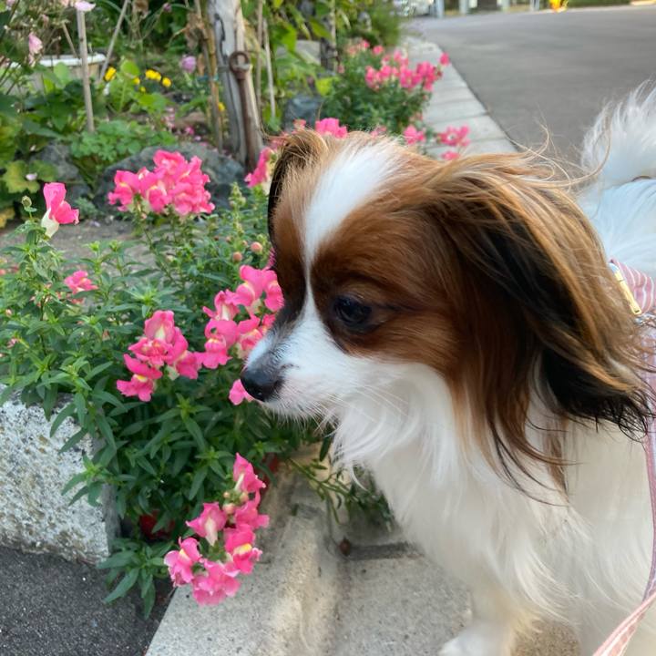 42fd6832 ec29 4eb3 a8c5 8df08199d9b4 1631694421837