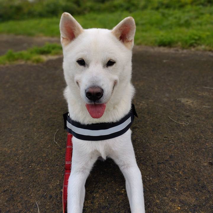 42fd7058 d83e 45ee 9e4c 47d61142b240 1633822190613