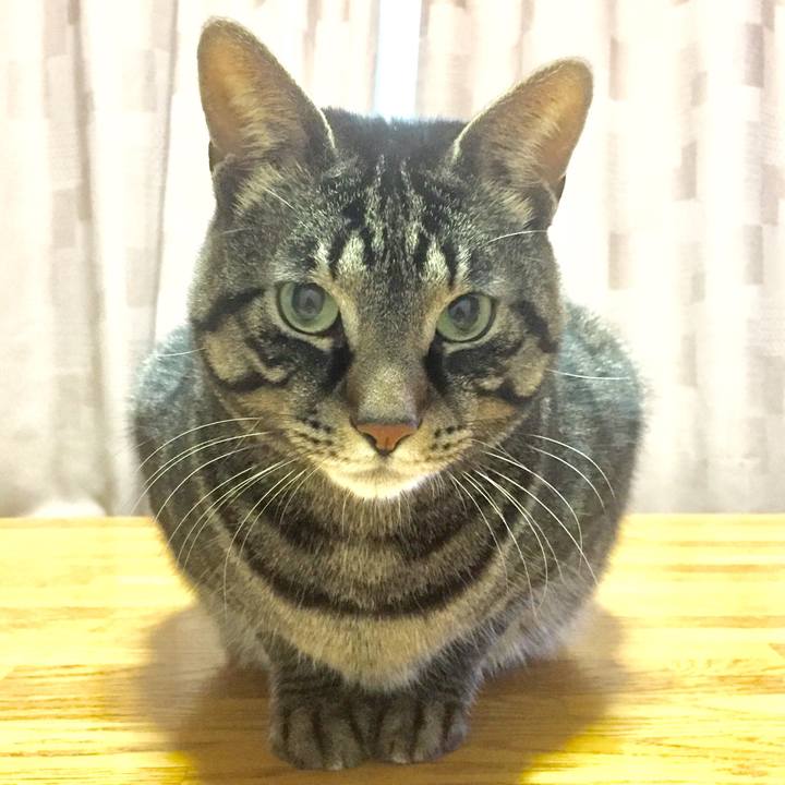 42fd74d4 868f 4e8d 98e2 5eb17a20de7c 1519288868190